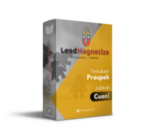 LeadMagnetize